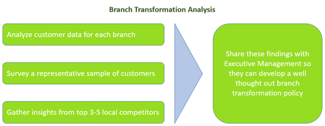 Branch Transformation Analysis